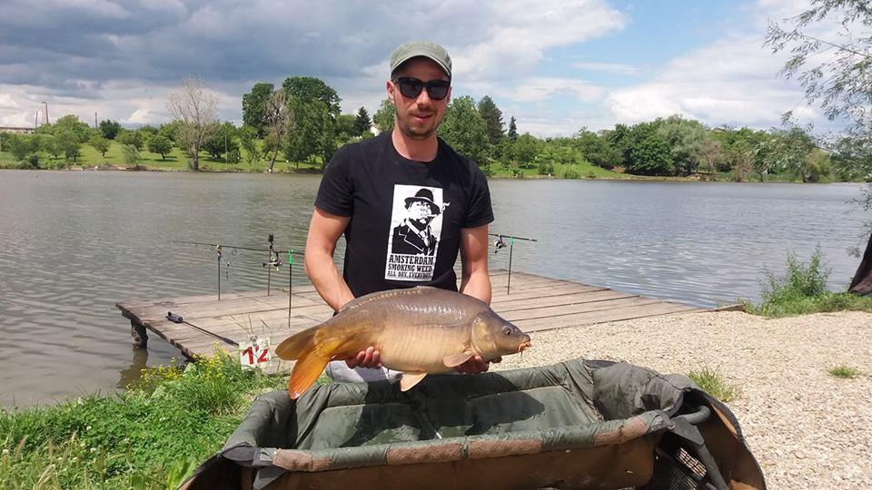 Pestisori - 1870018014789501288360066150013282109912312n.jpg